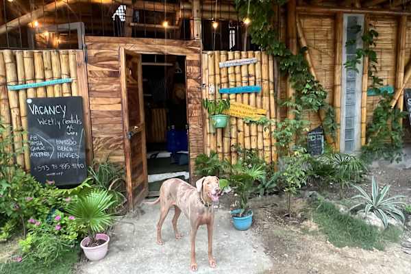 House sit in Canoa, Ecuador