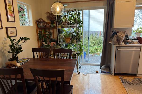 House sit in Hillsboro, OR, US