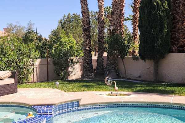 House sit in Summerlin South, NV, US