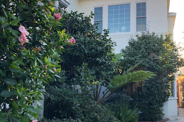 House sit in Los Angeles, CA, US