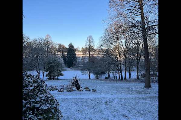 House sit in Holbrook, United Kingdom