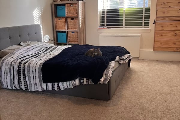 House sit in Arlington, VA, US