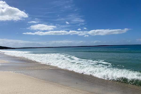 House sit in Callala Bay, NSW, Australia
