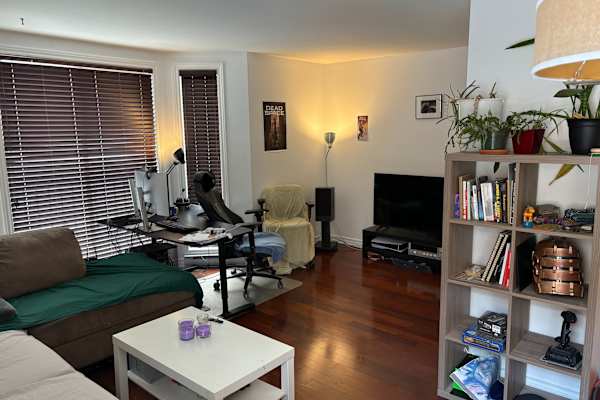 House sit in Montréal, QC, Canada