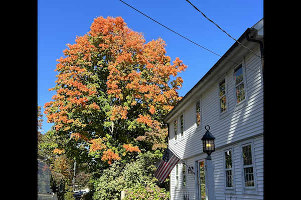 House sit in Killingworth, CT, US