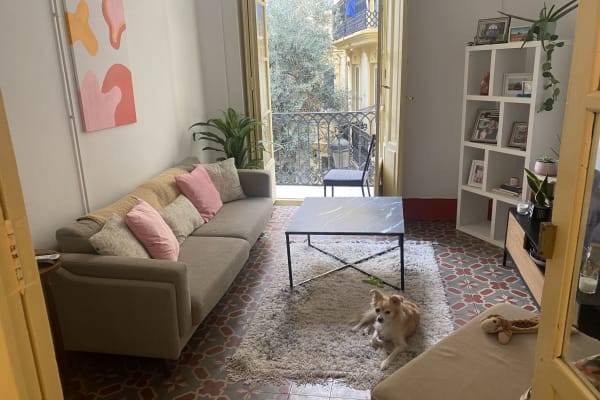 House sit in Valencia, Spain