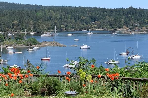 House sit in Ganges, BC, Canada