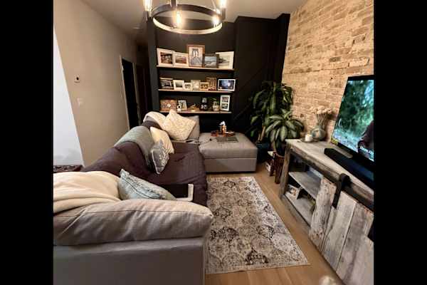 House sit in Chicago, IL, US