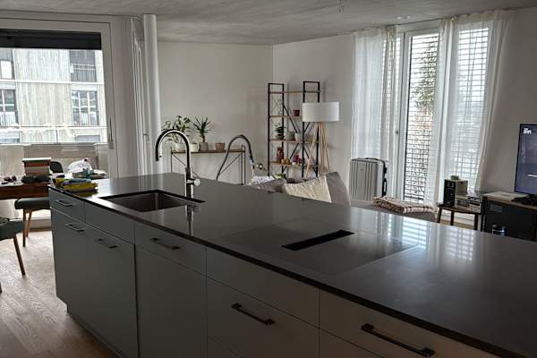 House sit in Zürich, Switzerland
