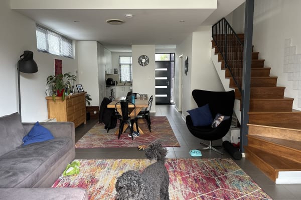 House sit in Sydney, NSW, Australia