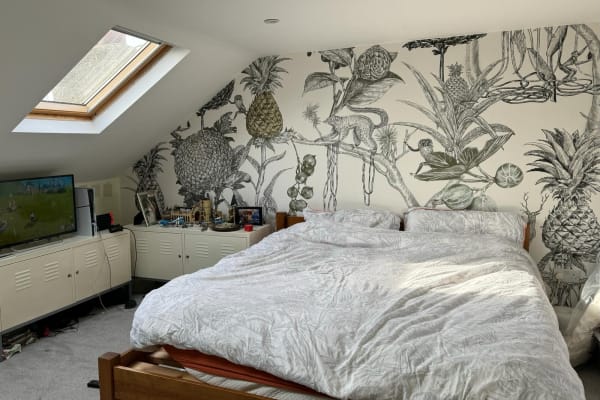 House sit in Streatham, United Kingdom