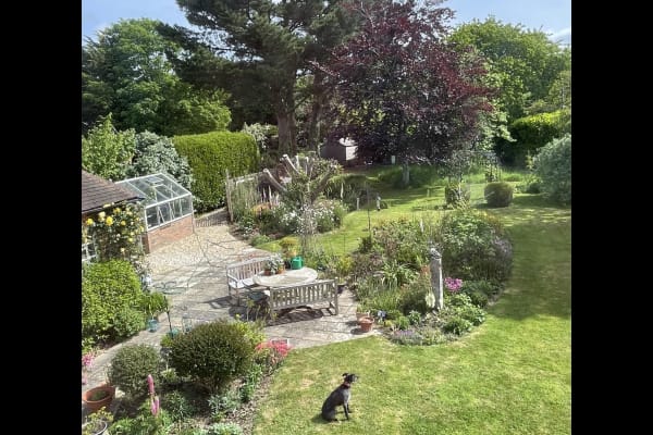 House sit in Chichester, United Kingdom