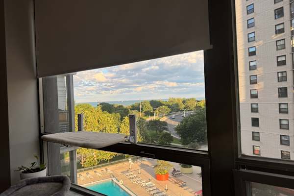 House sit in Chicago, IL, US