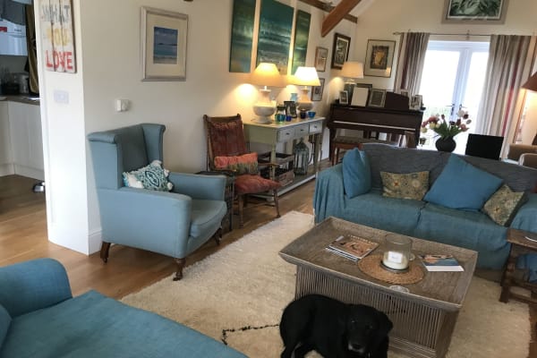 House sit in Glastonbury, United Kingdom