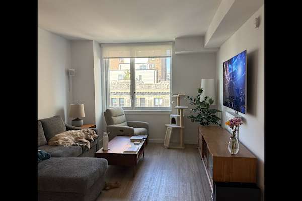 House sit in New York City, NY, US
