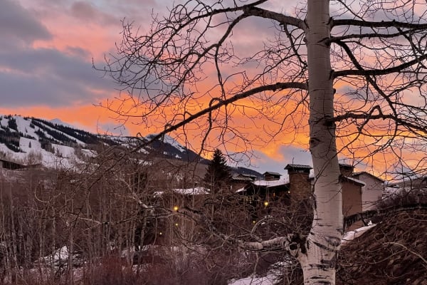 House sit in Snowmass Village, CO, US