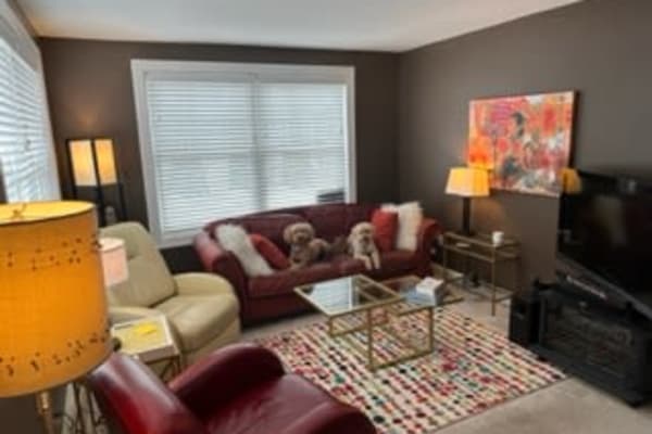 House sit in Portland, ME, US