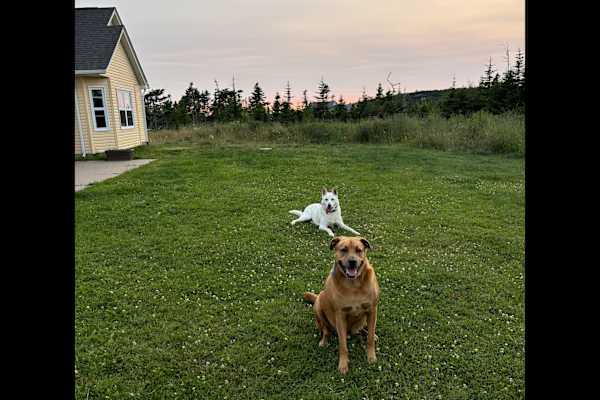 House sit in Three Fathom Harbour, NS, Canada