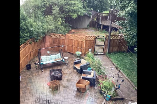 House sit in Saint John, NB, Canada