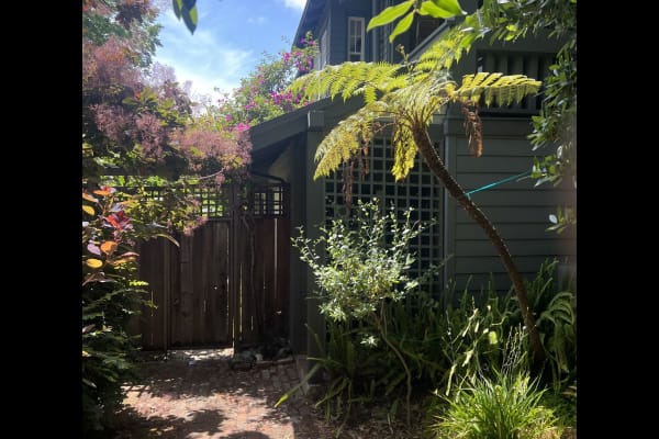 House sit in Berkeley, CA, US