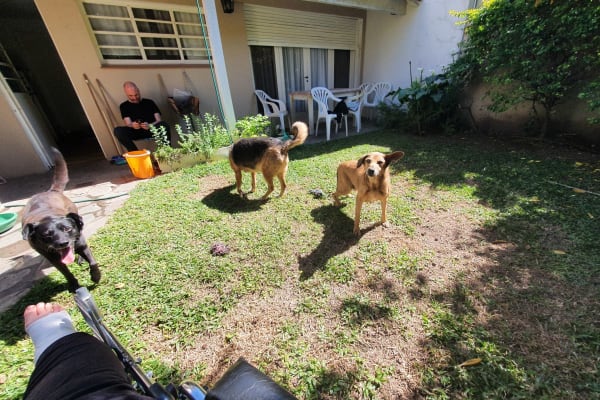 House sit in San Isidro, Argentina