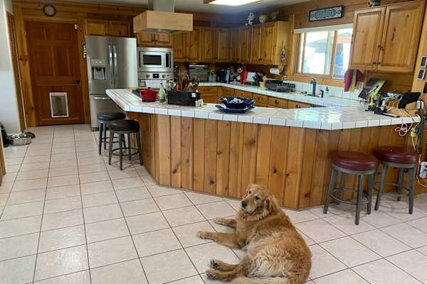 House sit in Sonora, CA, US