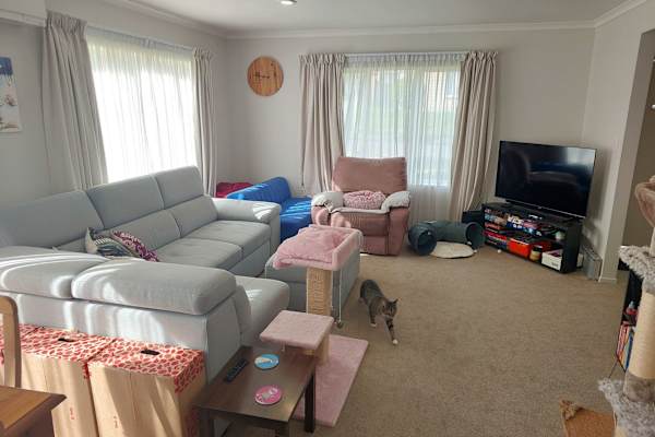 House sit in Waitakere, New Zealand