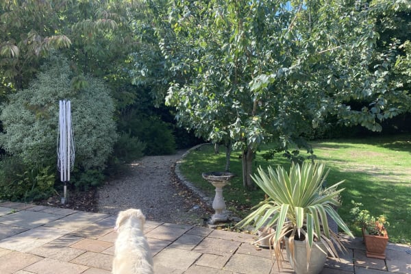 House sit in Dartmouth, United Kingdom