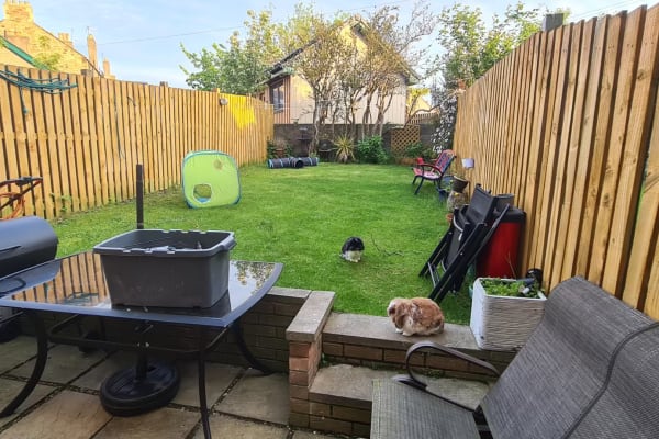House sit in Bonnyrigg, United Kingdom
