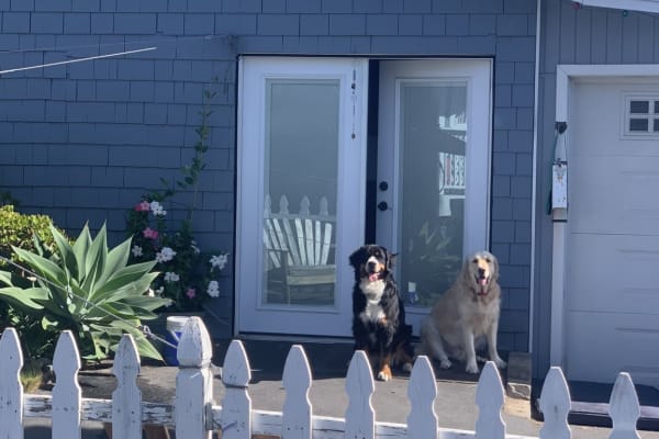 House sit in Temecula, CA, US