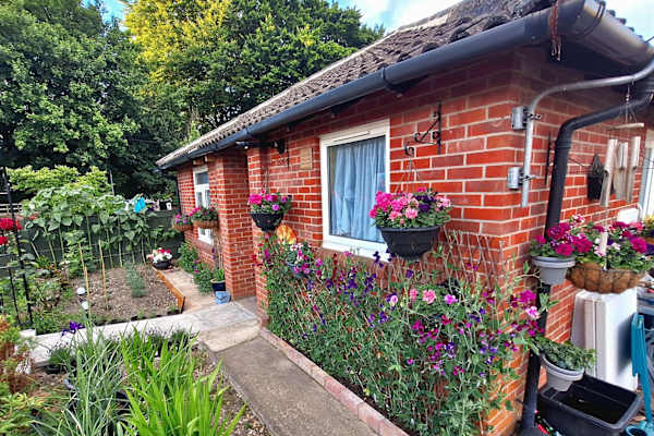 House sit in Devizes, United Kingdom