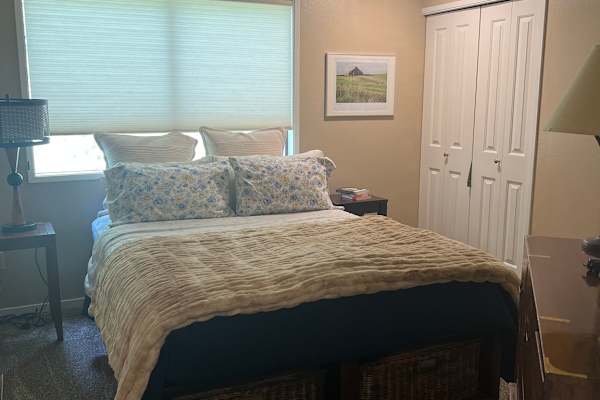 House sit in Bellevue, WA, US