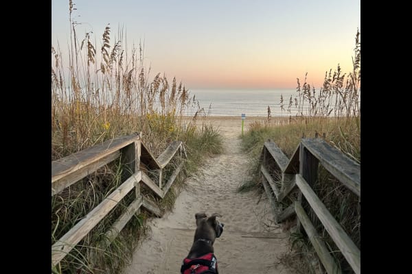 House sit in East Ocean View, VA, US