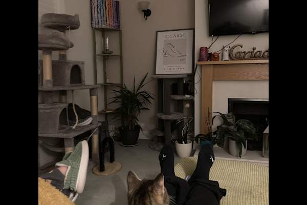 House sit in Bishops Cleeve, United Kingdom