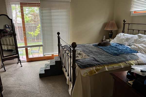 House sit in San Mateo, CA, US