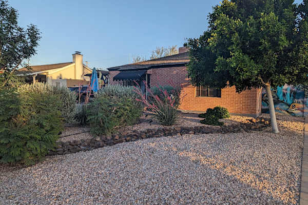 House sit in Phoenix, AZ, US