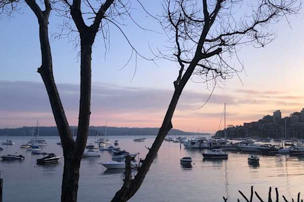 House sit in Sydney, NSW, Australia