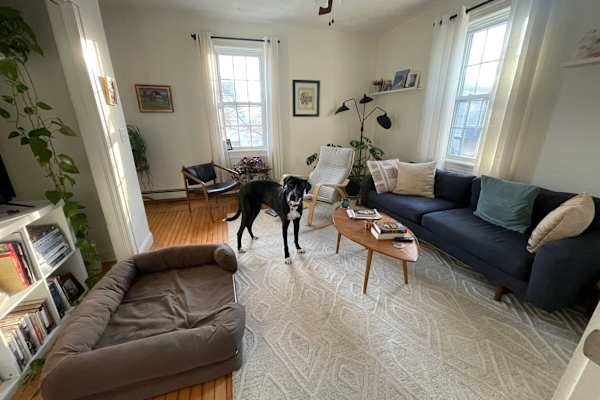 House sit in Warren, RI, US