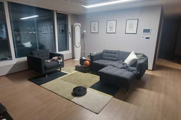 House sit in Busan, South Korea