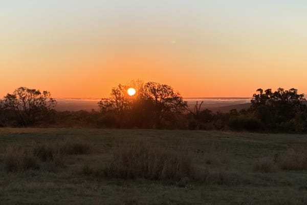 House sit in Van Buren, AR, US