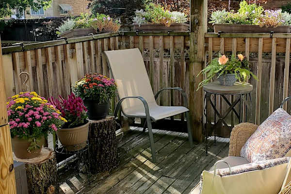 House sit in Chicago, IL, US