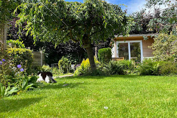 House sit in Congleton, United Kingdom