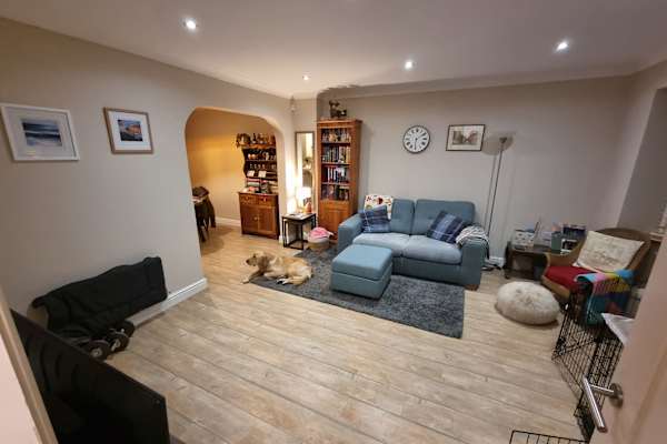 House sit in Bishops Stortford, United Kingdom