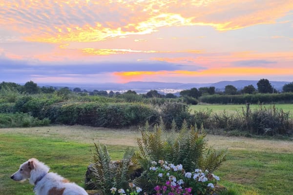 House sit in Hay, United Kingdom