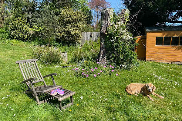 House sit in Totnes, United Kingdom