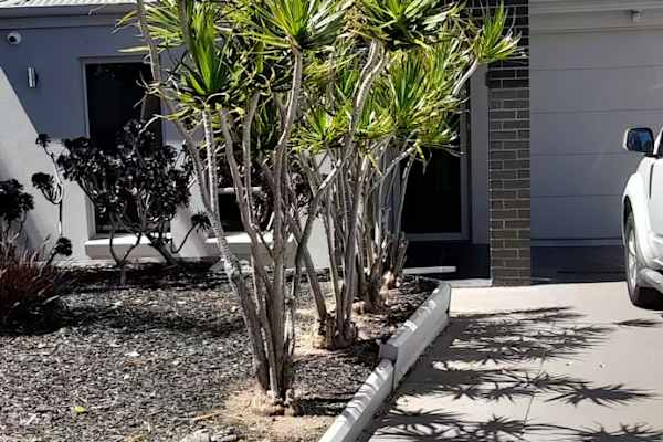 House sit in Adelaide, SA, Australia