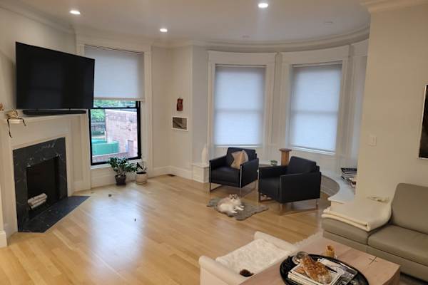 House sit in Brookline, MA, US