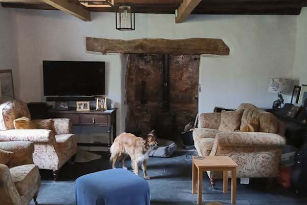 House sit in Kilgetty, United Kingdom