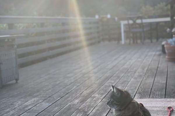 House sit in Atascadero, CA, US