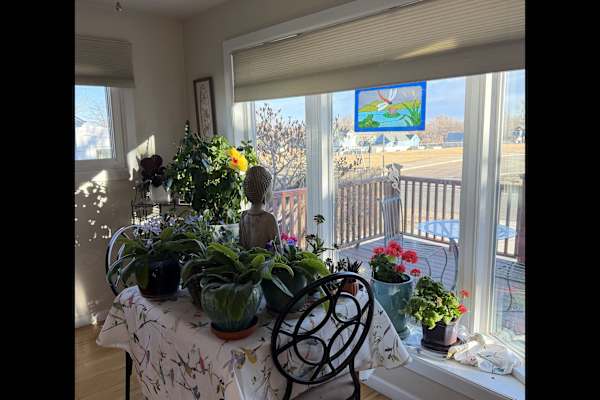 House sit in Lafayette, CO, US